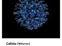 0005-calisto-melynas