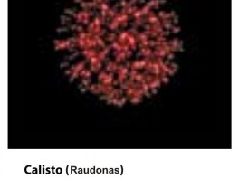 0006-calisto-raudonas