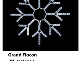 0011-grand-flocon